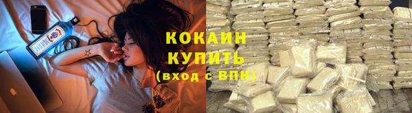ПСИЛОЦИБИНОВЫЕ ГРИБЫ Белоозёрский