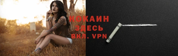 ПСИЛОЦИБИНОВЫЕ ГРИБЫ Белоозёрский