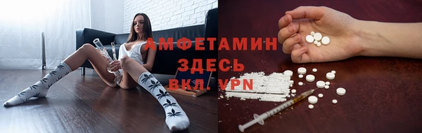 СК Снежногорск
