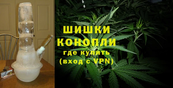 ПСИЛОЦИБИНОВЫЕ ГРИБЫ Белоозёрский
