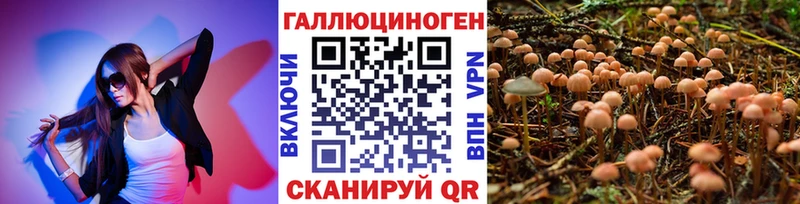 продажа наркотиков Буинск Галлюциногенные грибы ЛСД